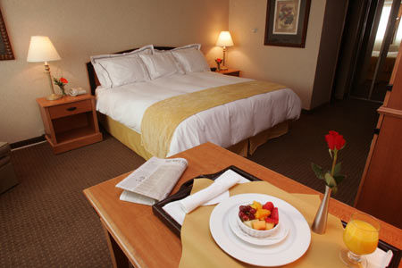 Radisson 4*